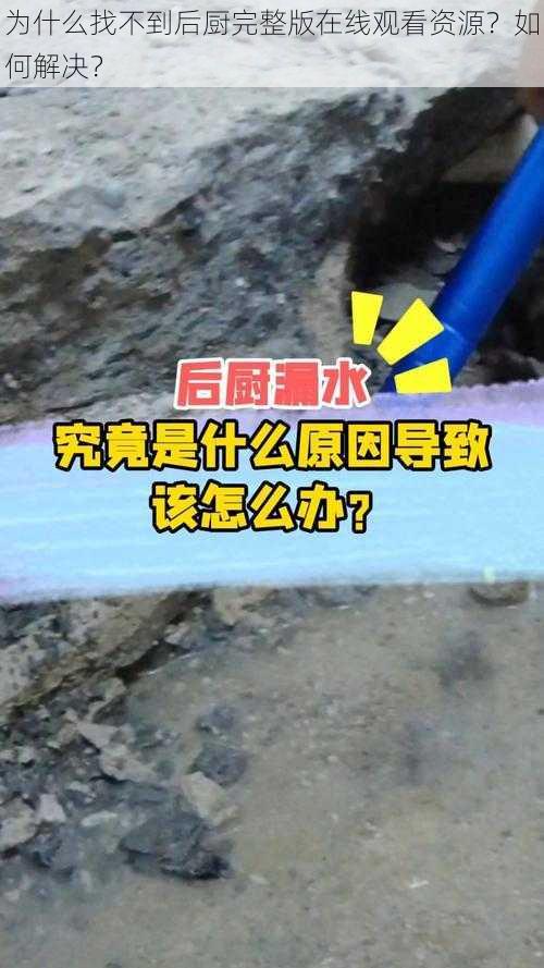 为什么找不到后厨完整版在线观看资源？如何解决？