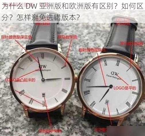 为什么 DW 亚洲版和欧洲版有区别？如何区分？怎样避免选错版本？