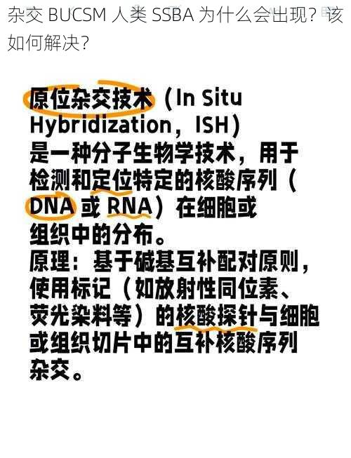 杂交 BUCSM 人类 SSBA 为什么会出现？该如何解决？