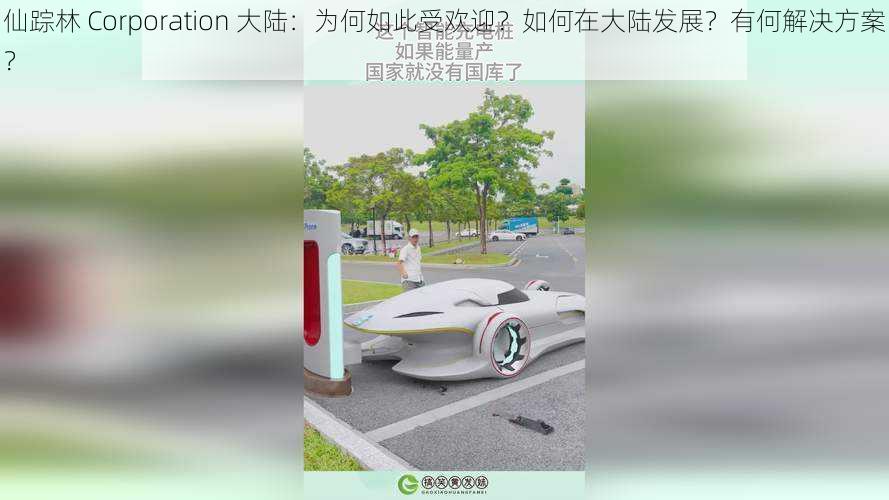 仙踪林 Corporation 大陆：为何如此受欢迎？如何在大陆发展？有何解决方案？