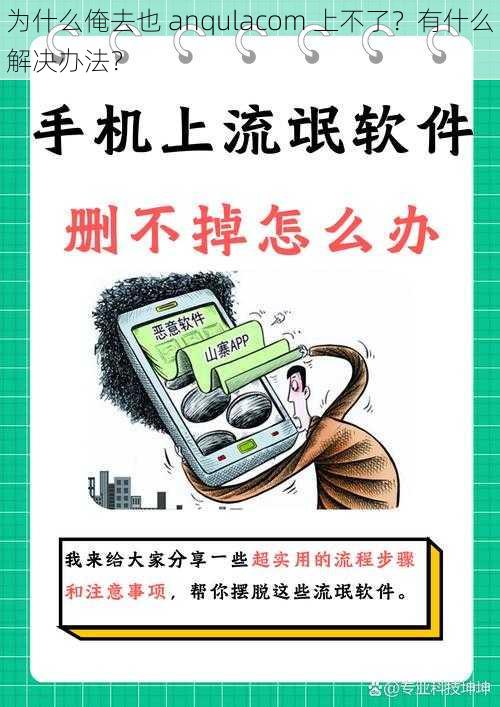 为什么俺去也 anqulacom 上不了？有什么解决办法？