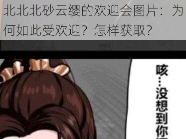 北北北砂云缨的欢迎会图片：为何如此受欢迎？怎样获取？