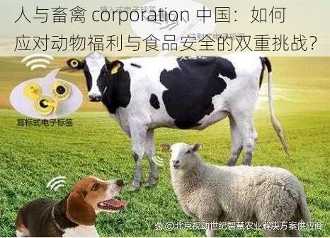 人与畜禽 corporation 中国：如何应对动物福利与食品安全的双重挑战？