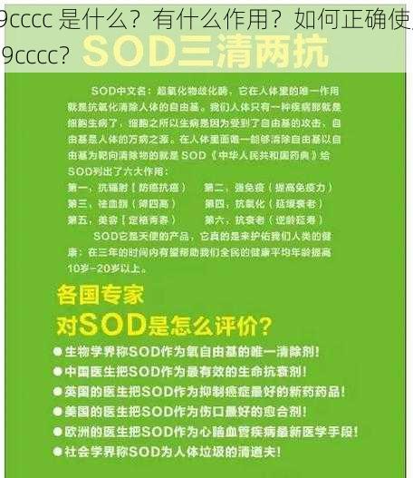 19cccc 是什么？有什么作用？如何正确使用 19cccc？