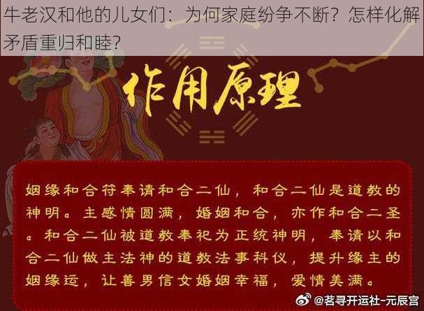 牛老汉和他的儿女们：为何家庭纷争不断？怎样化解矛盾重归和睦？