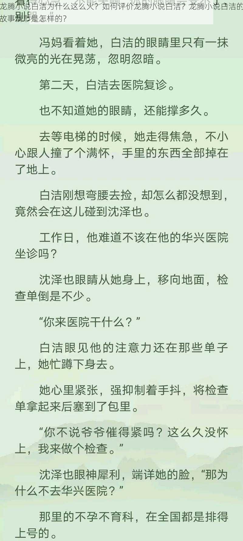 龙腾小说白洁为什么这么火？如何评价龙腾小说白洁？龙腾小说白洁的故事情节是怎样的？