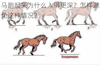 马跑起来为什么入得更深？怎样避免这种情况？