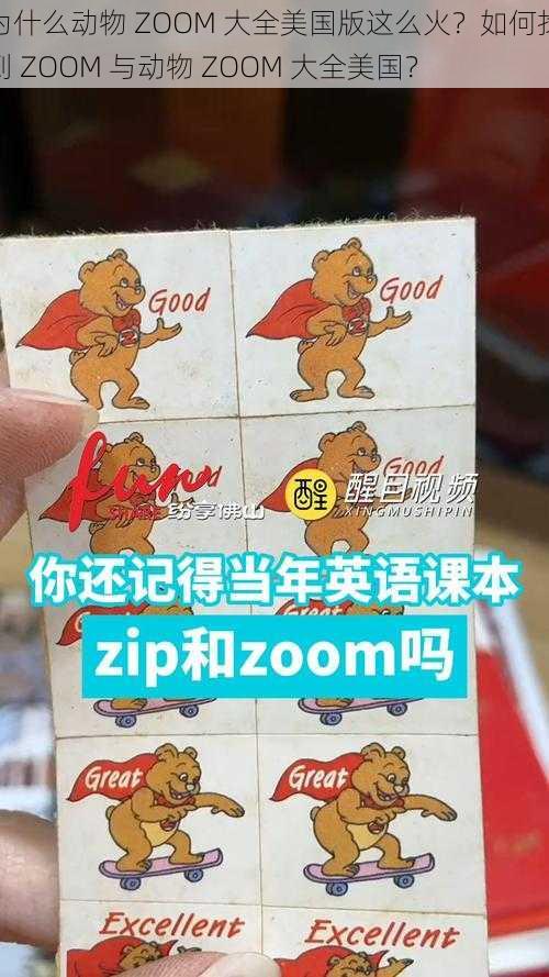 为什么动物 ZOOM 大全美国版这么火？如何找到 ZOOM 与动物 ZOOM 大全美国？