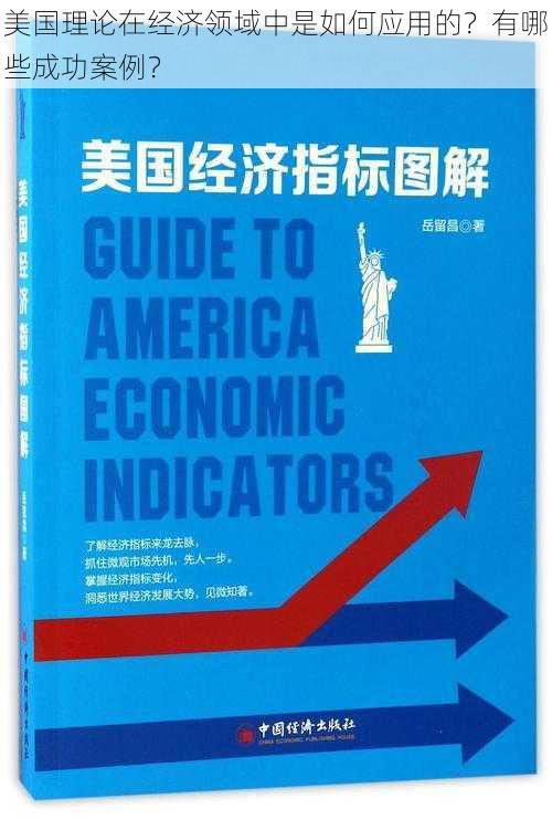 美国理论在经济领域中是如何应用的？有哪些成功案例？