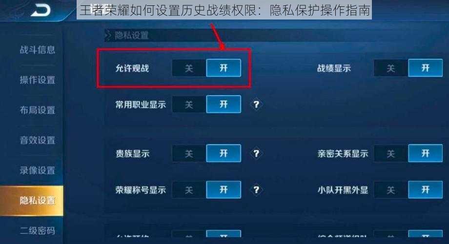 王者荣耀如何设置历史战绩权限：隐私保护操作指南