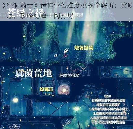 《空洞骑士》诸神堂各难度挑战全解析：奖励丰厚，攻略秘籍一网打尽