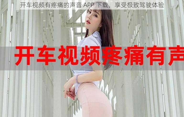开车视频有疼痛的声音 APP 下载,享受极致驾驶体验
